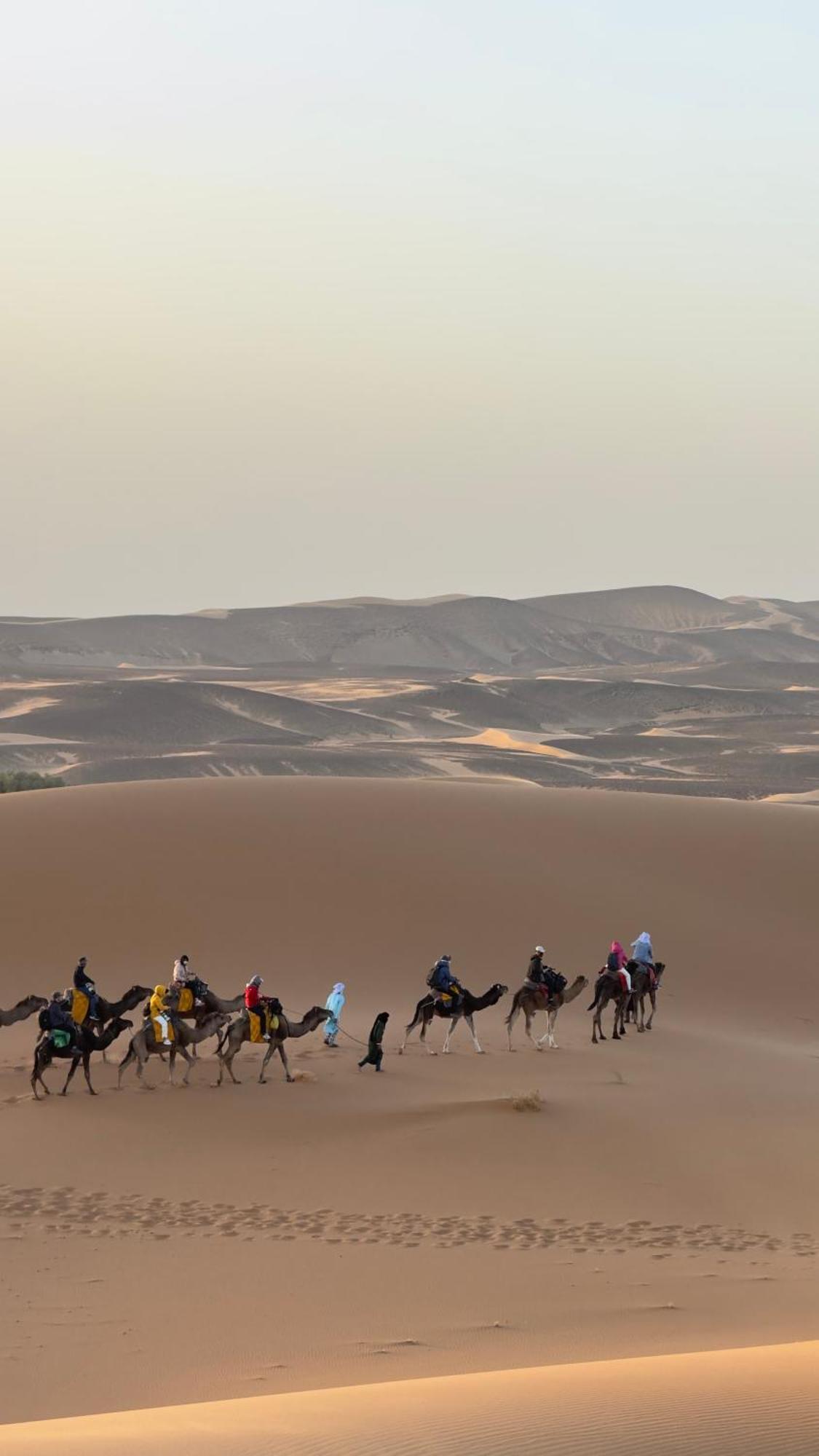 Royal Sands Camp مرزوكة المظهر الخارجي الصورة